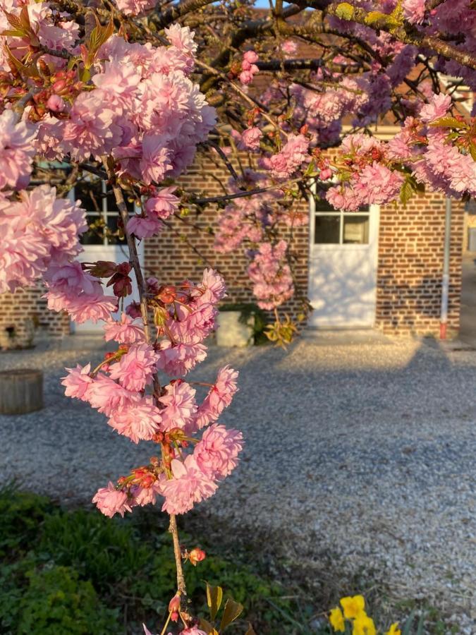 Le Domaine Des Saules Vila Richebourg  Exterior foto